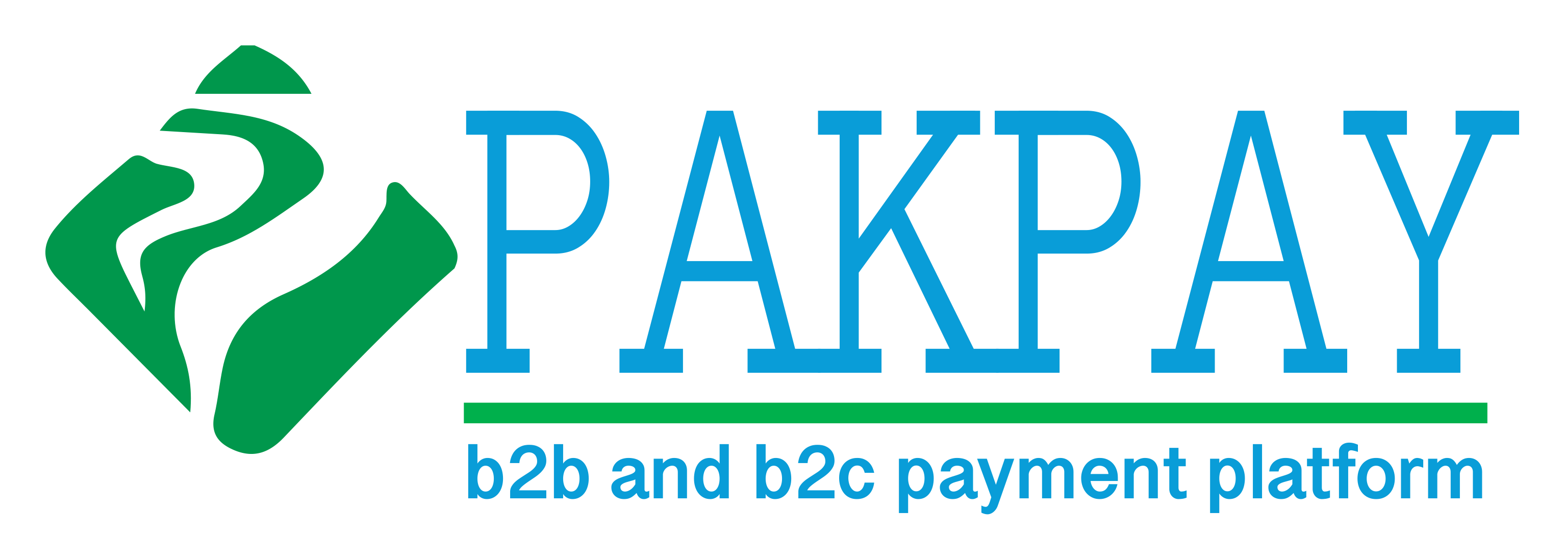 PakPay Private Limited logo